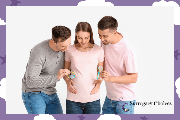 Understanding the Ins and Outs of the Gestational Surrogacy